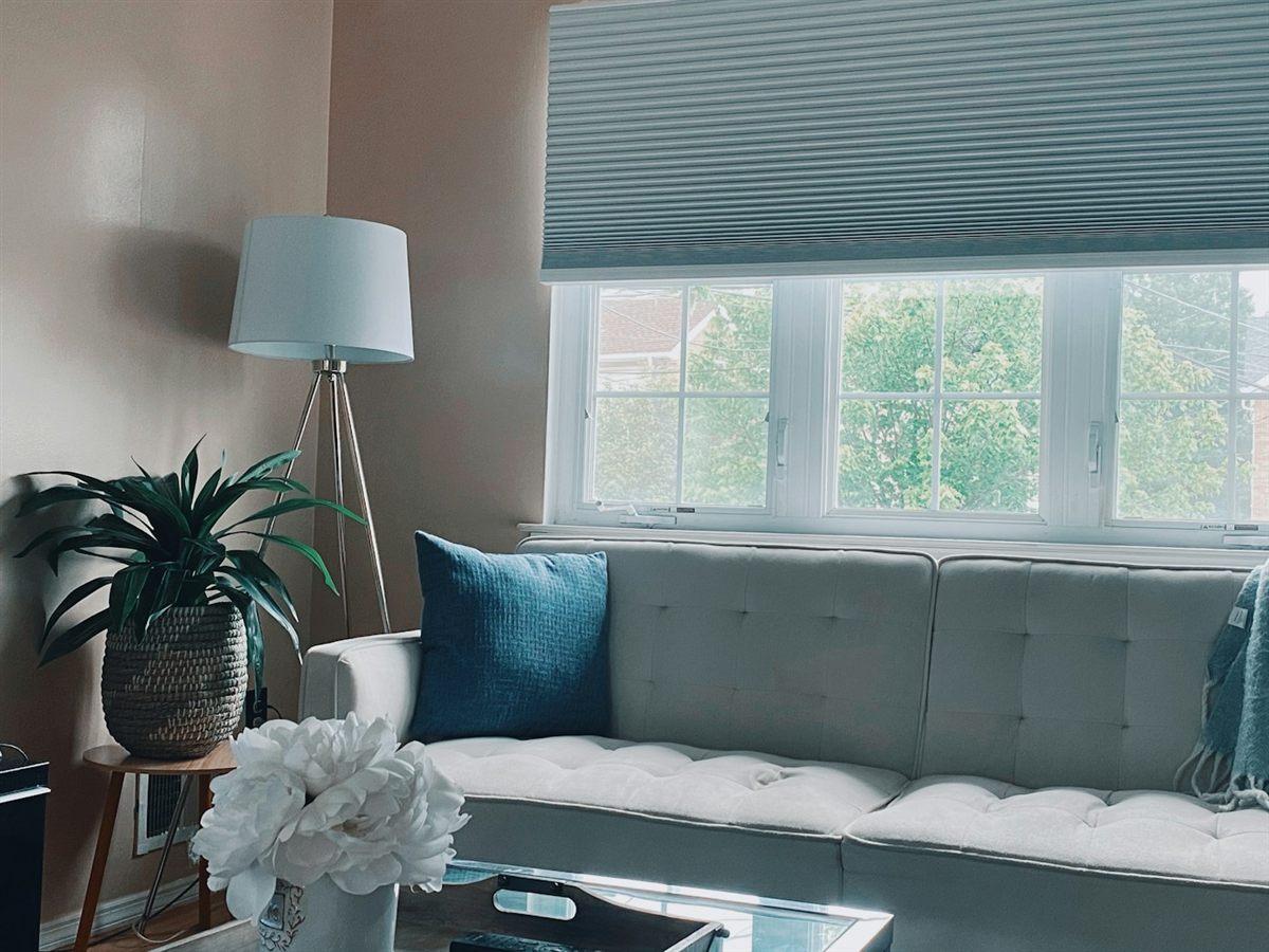 Gray cellular shade over a living room window behind a tufted sofa